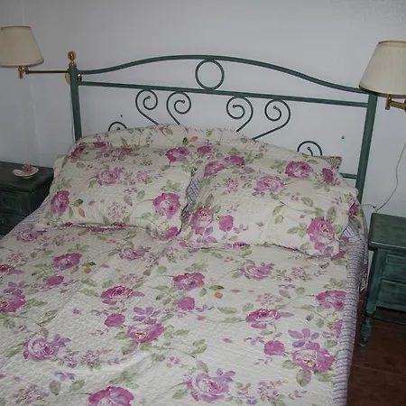 Torre De Pisa Holiday home *
